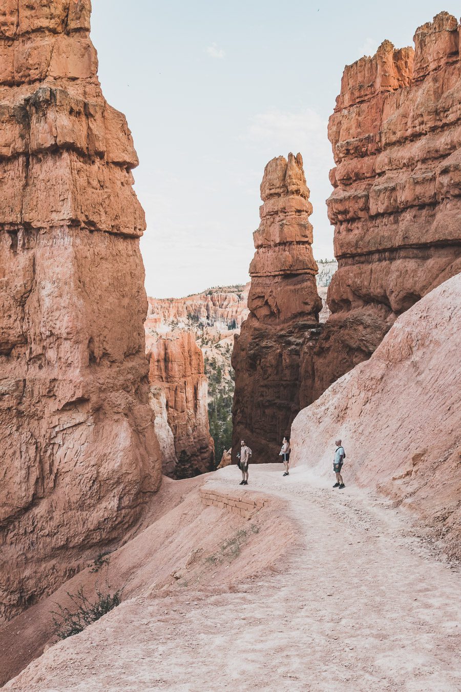 Le parc national de Bryce Canyon est une merveille naturelle à nulle autre pareille. Situé dans le sud de l'Utah, le parc abrite certains des paysages les plus époustouflants, avec ses parois de canyon emblématiques, ses hoodoos et ses vastes canyons créant une expérience d'un autre monde. Des randonnées exaltantes aux magnifiques couchers de soleil, il y a quelque chose pour tout le monde à explorer et à apprécier. Venez explorer la beauté du parc national de Bryce Canyon !