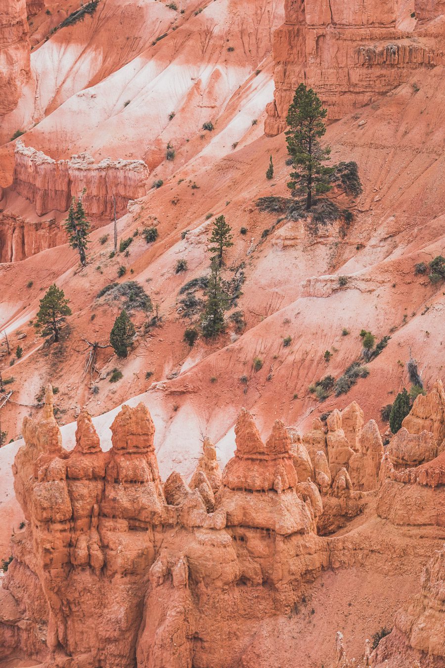 Le parc national de Bryce Canyon est une merveille naturelle à nulle autre pareille. Situé dans le sud de l'Utah, le parc abrite certains des paysages les plus époustouflants, avec ses parois de canyon emblématiques, ses hoodoos et ses vastes canyons créant une expérience d'un autre monde. Des randonnées exaltantes aux magnifiques couchers de soleil, il y a quelque chose pour tout le monde à explorer et à apprécier. Venez explorer la beauté du parc national de Bryce Canyon !