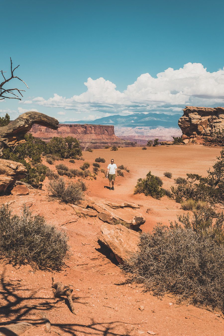 Visiter Canyonlands National Park