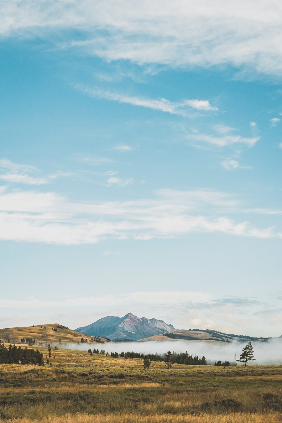 Situé aux États-Unis, le parc national de Yellowstone est l'une des destinations les plus impressionnantes et pittoresques au monde. Visiter Yellowstone, c’est découvrir des paysages époustouflants, allant des forêts, des geysers et des sources chaudes aux canyons et aux vastes prairies ouvertes, Yellowstone est vraiment un endroit pas comme les autres. Des incroyables opportunités d'observation de la faune aux randonnées, il y a quelque chose pour tous dans le parc national de Yellowstone.