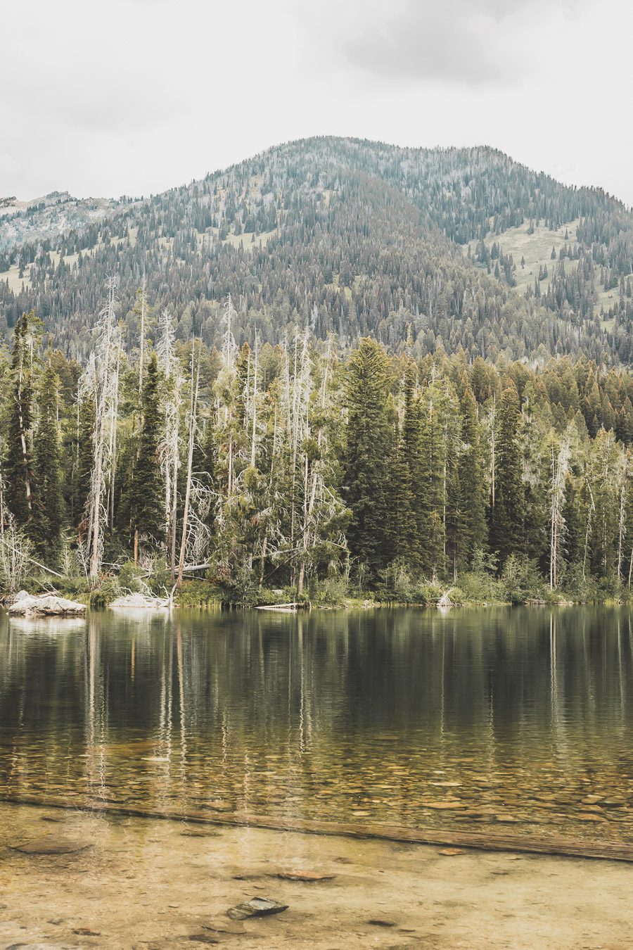 Taggart Trail, Bradley lake et Taggart Lake