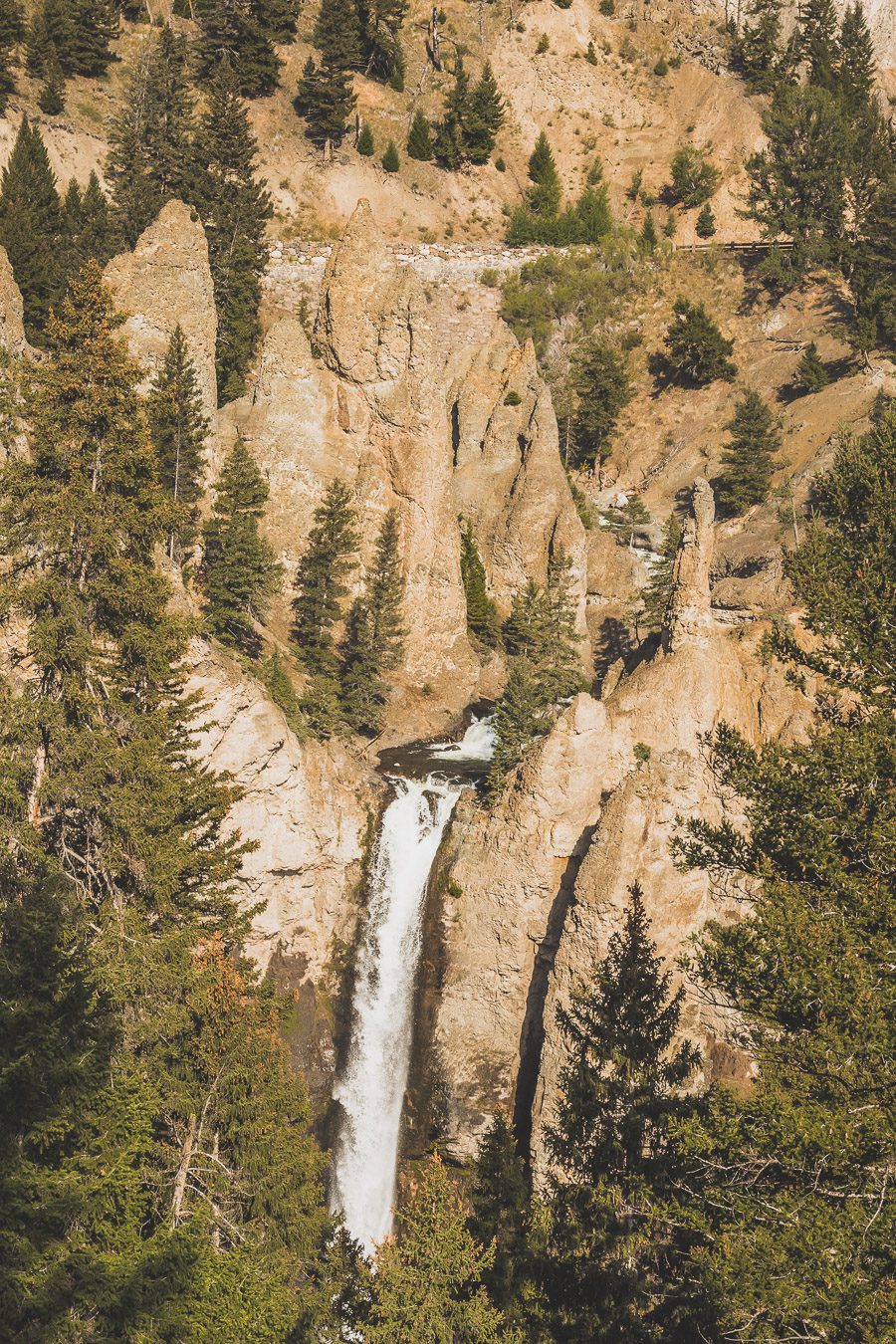 Situé aux États-Unis, le parc national de Yellowstone est l'une des destinations les plus impressionnantes et pittoresques au monde. Visiter Yellowstone, c’est découvrir des paysages époustouflants, allant des forêts, des geysers et des sources chaudes aux canyons et aux vastes prairies ouvertes, Yellowstone est vraiment un endroit pas comme les autres. Des incroyables opportunités d'observation de la faune aux randonnées, il y a quelque chose pour tous dans le parc national de Yellowstone.