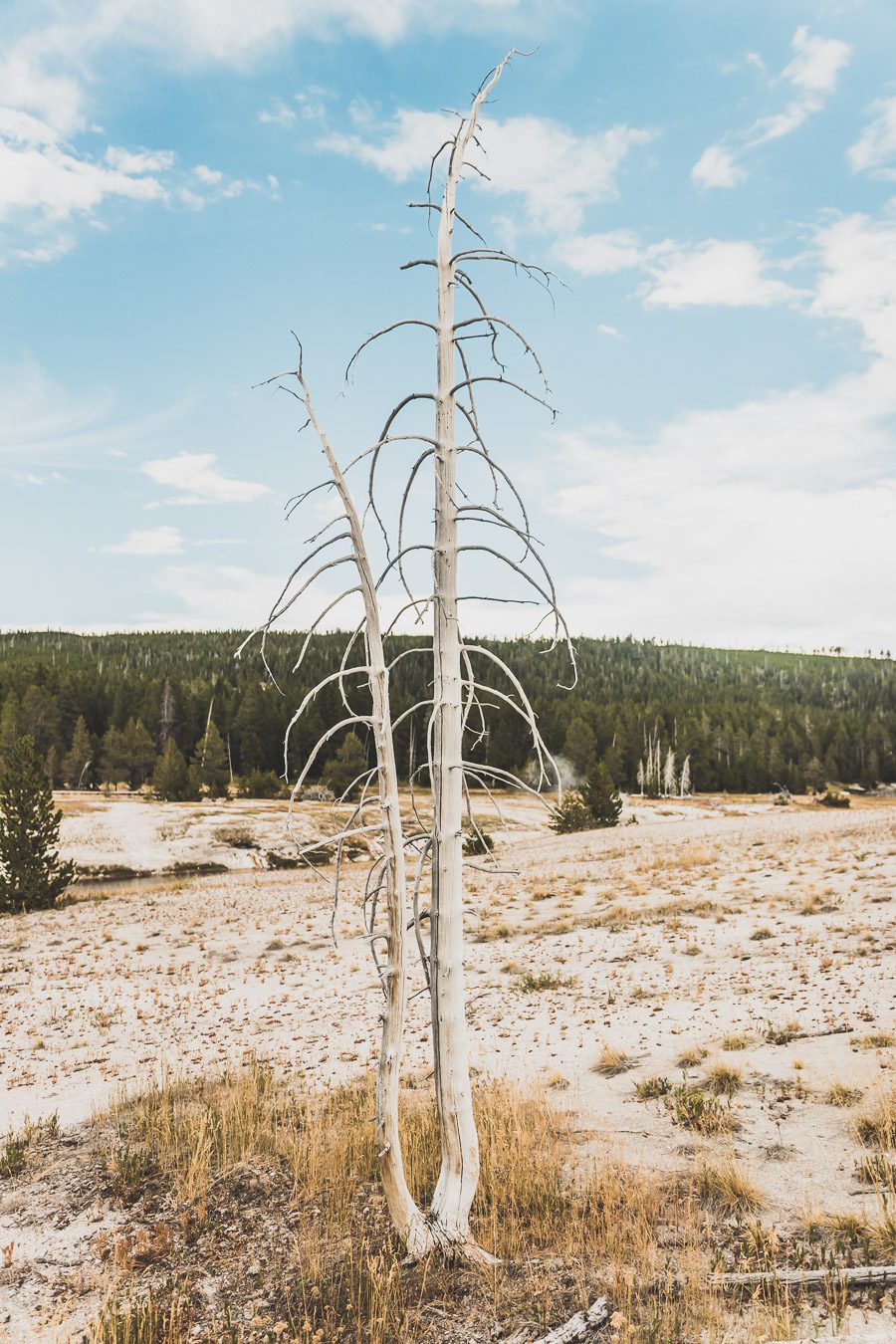 West Thumb Geyser Basin