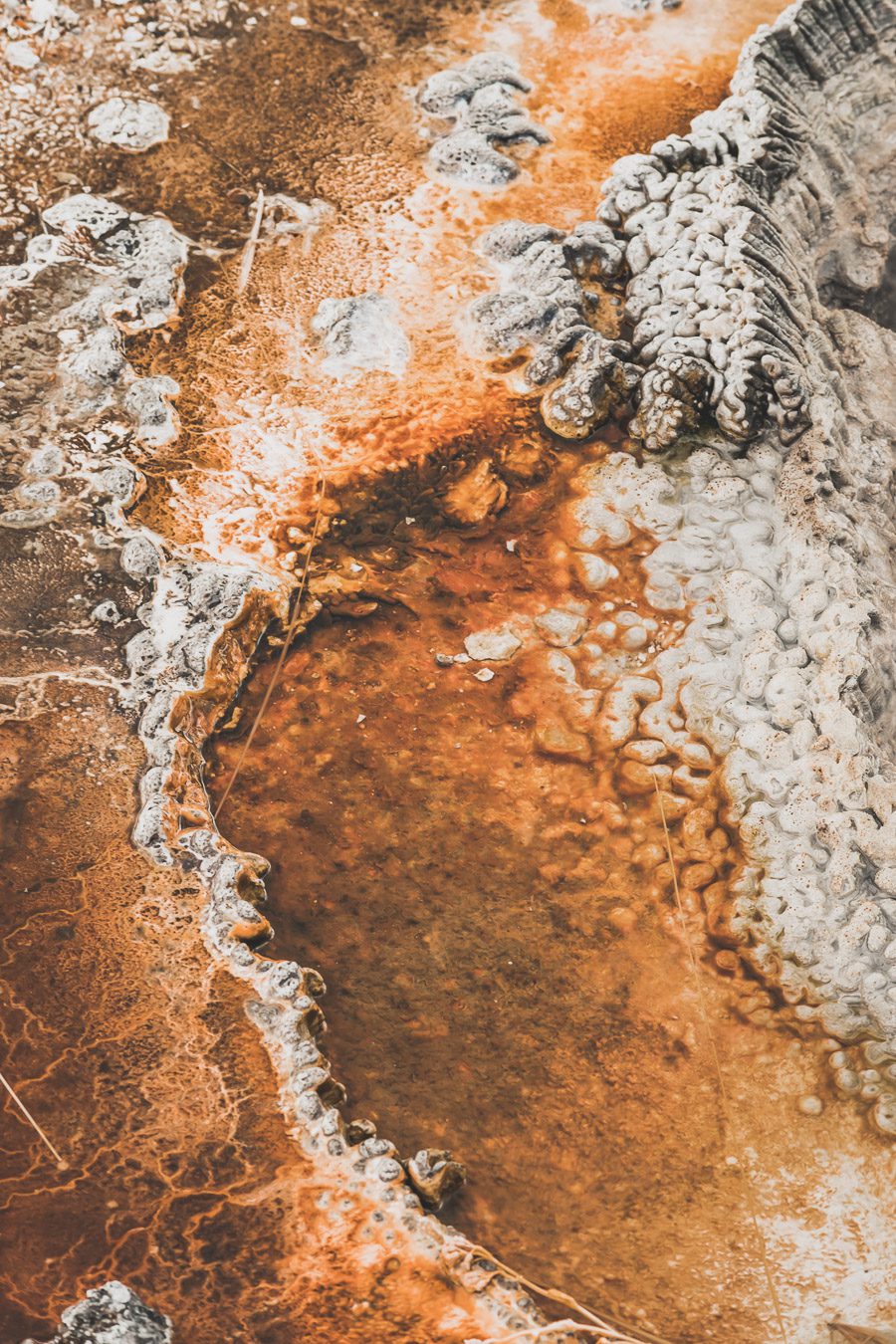 Situé aux États-Unis, le parc national de Yellowstone est l'une des destinations les plus impressionnantes et pittoresques au monde. Visiter Yellowstone, c’est découvrir des paysages époustouflants, allant des forêts, des geysers et des sources chaudes aux canyons et aux vastes prairies ouvertes, Yellowstone est vraiment un endroit pas comme les autres. Des incroyables opportunités d'observation de la faune aux randonnées, il y a quelque chose pour tous dans le parc national de Yellowstone.