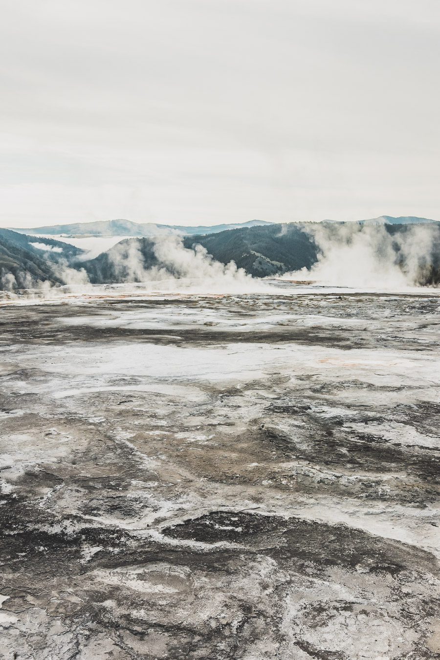 Situé aux États-Unis, le parc national de Yellowstone est l'une des destinations les plus impressionnantes et pittoresques au monde. Visiter Yellowstone, c’est découvrir des paysages époustouflants, allant des forêts, des geysers et des sources chaudes aux canyons et aux vastes prairies ouvertes, Yellowstone est vraiment un endroit pas comme les autres. Des incroyables opportunités d'observation de la faune aux randonnées, il y a quelque chose pour tous dans le parc national de Yellowstone.