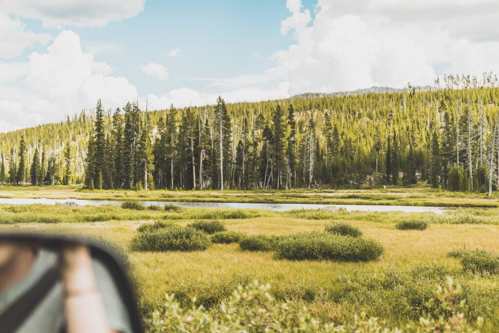 parc de Yellowstone