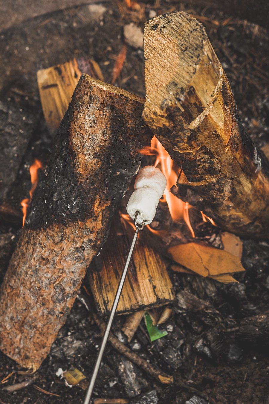 marshmallow grillé