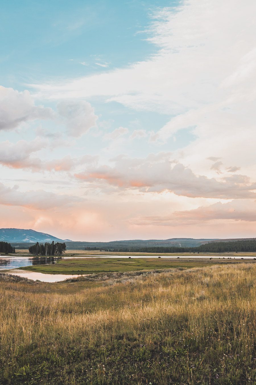 Situé aux États-Unis, le parc national de Yellowstone est l'une des destinations les plus impressionnantes et pittoresques au monde. Visiter Yellowstone, c’est découvrir des paysages époustouflants, allant des forêts, des geysers et des sources chaudes aux canyons et aux vastes prairies ouvertes, Yellowstone est vraiment un endroit pas comme les autres. Des incroyables opportunités d'observation de la faune aux randonnées, il y a quelque chose pour tous dans le parc national de Yellowstone.