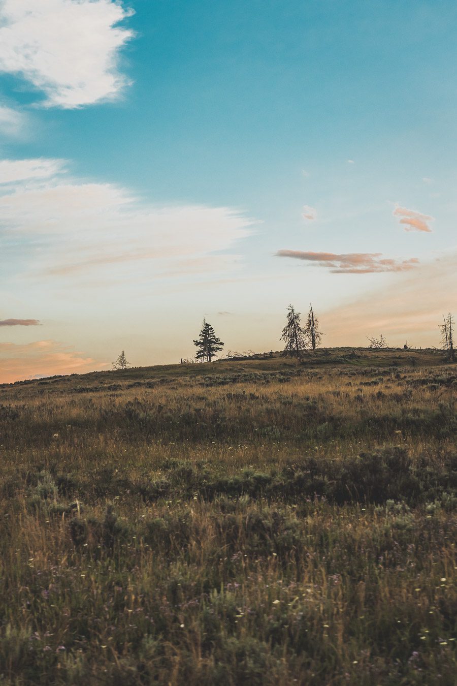 Situé aux États-Unis, le parc national de Yellowstone est l'une des destinations les plus impressionnantes et pittoresques au monde. Visiter Yellowstone, c’est découvrir des paysages époustouflants, allant des forêts, des geysers et des sources chaudes aux canyons et aux vastes prairies ouvertes, Yellowstone est vraiment un endroit pas comme les autres. Des incroyables opportunités d'observation de la faune aux randonnées, il y a quelque chose pour tous dans le parc national de Yellowstone.