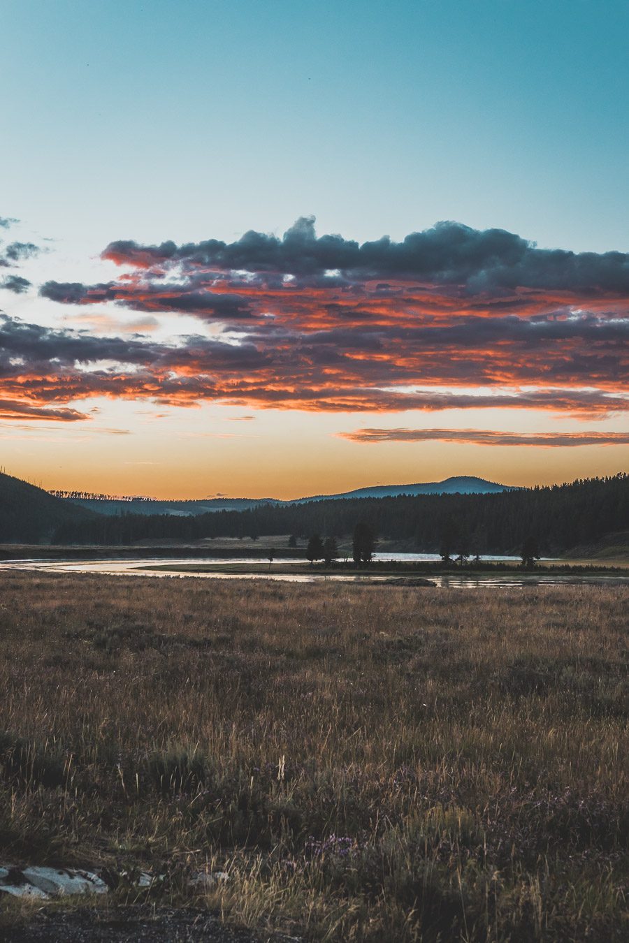 Situé aux États-Unis, le parc national de Yellowstone est l'une des destinations les plus impressionnantes et pittoresques au monde. Visiter Yellowstone, c’est découvrir des paysages époustouflants, allant des forêts, des geysers et des sources chaudes aux canyons et aux vastes prairies ouvertes, Yellowstone est vraiment un endroit pas comme les autres. Des incroyables opportunités d'observation de la faune aux randonnées, il y a quelque chose pour tous dans le parc national de Yellowstone.