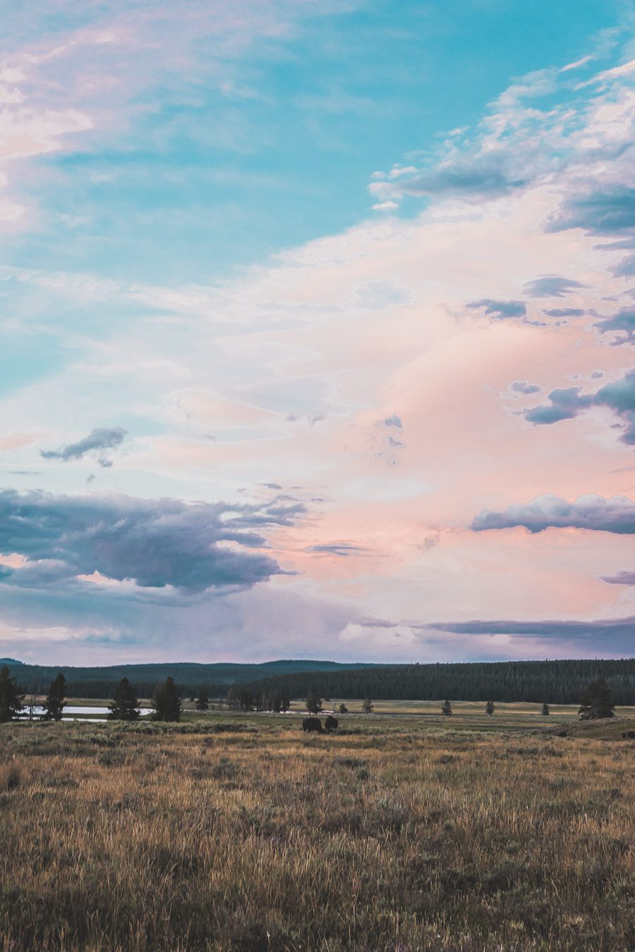 Situé aux États-Unis, le parc national de Yellowstone est l'une des destinations les plus impressionnantes et pittoresques au monde. Visiter Yellowstone, c’est découvrir des paysages époustouflants, allant des forêts, des geysers et des sources chaudes aux canyons et aux vastes prairies ouvertes, Yellowstone est vraiment un endroit pas comme les autres. Des incroyables opportunités d'observation de la faune aux randonnées, il y a quelque chose pour tous dans le parc national de Yellowstone.