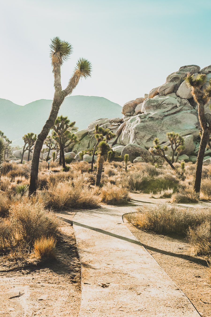 Cap rock trail