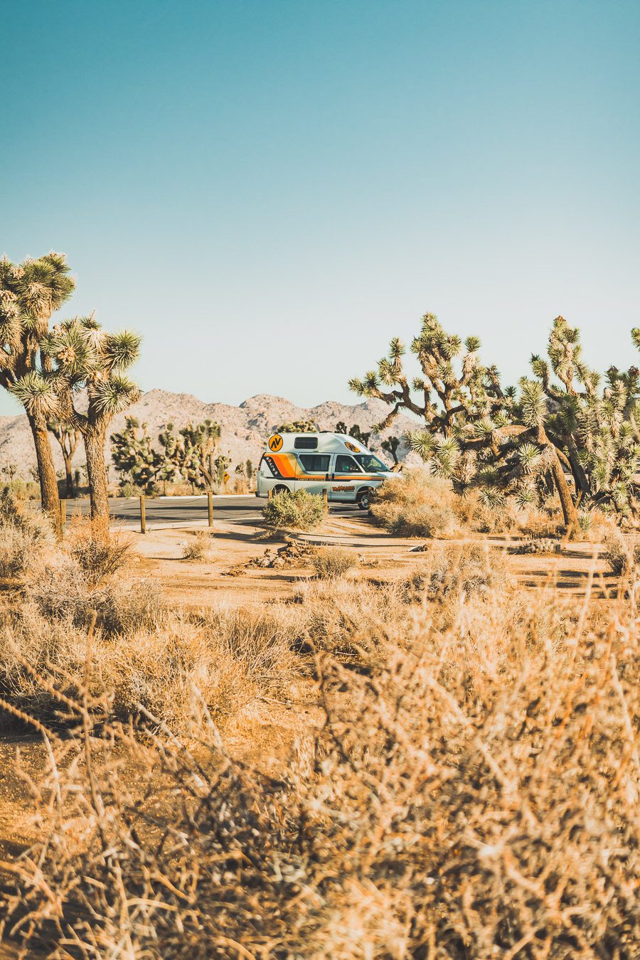 Le parc national de Joshua Tree est un paysage américain emblématique situé dans le désert de Mojave en Californie. Outre son emblématique Joshua Tree, cette oasis du désert offre des vues spectaculaires sur les chaînes de montagnes et les canyons environnants, ainsi qu'une abondance d'animaux sauvages incroyables. Préparez-vous à vivre l'une des expériences désertiques les plus uniques et les plus immersives d'un road trip aux États-Unis - bienvenue à Joshua Tree National Park !