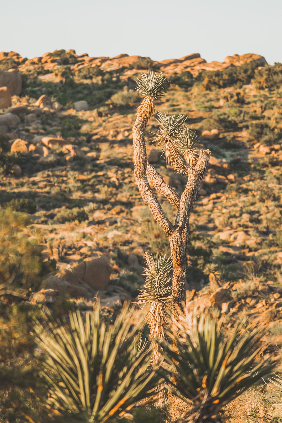 Cap rock trail