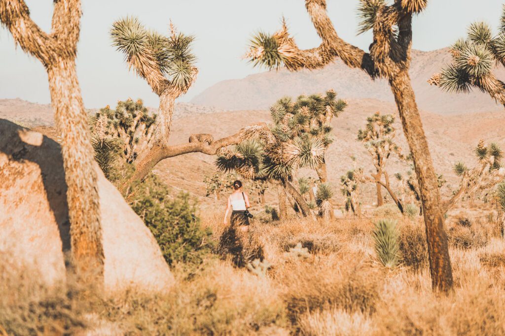 Cap rock trail