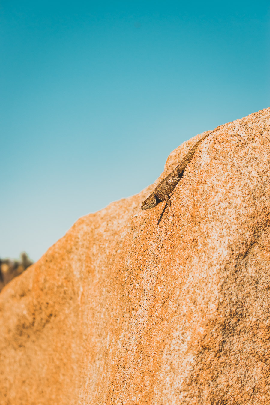 Cap rock trail