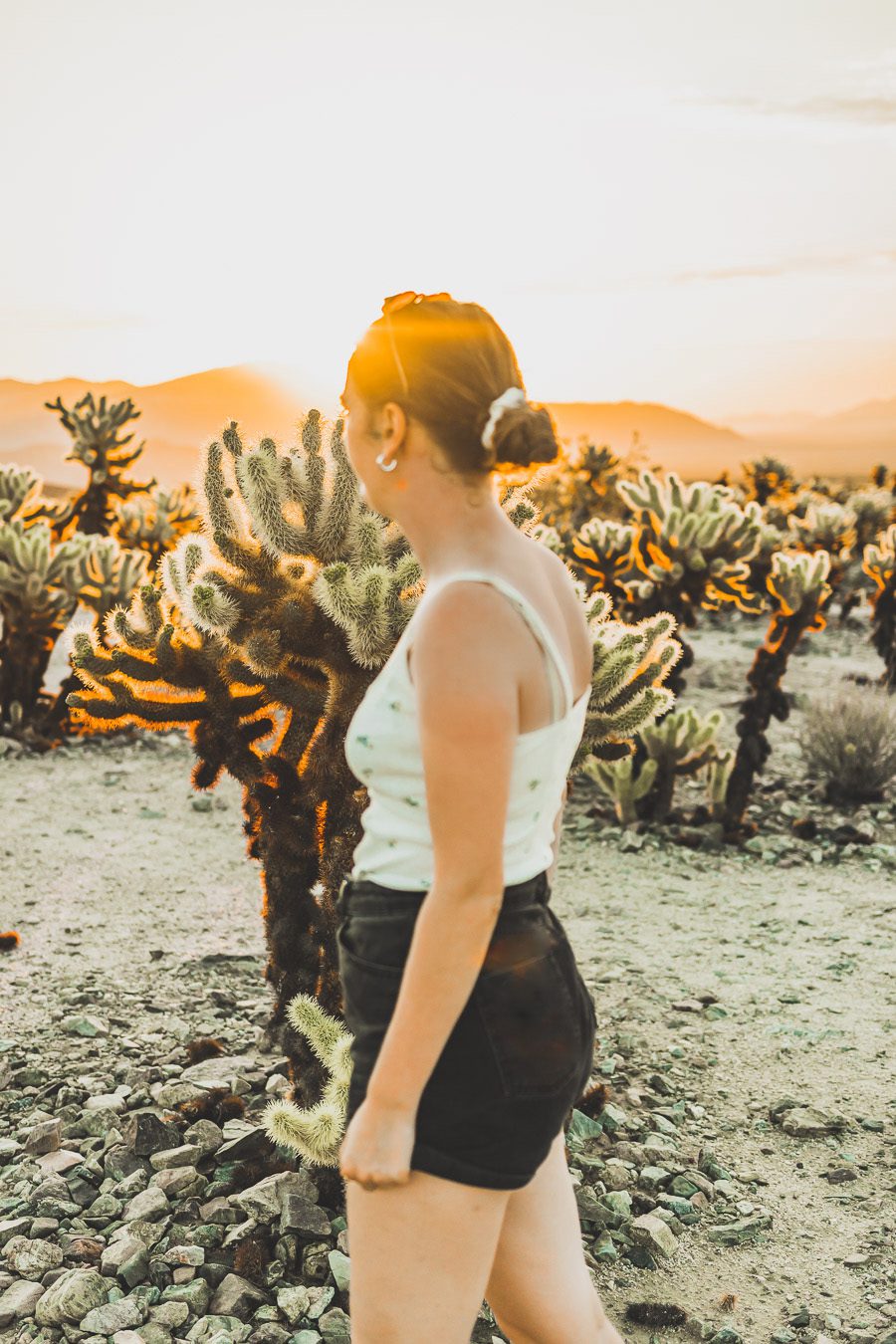 Le parc national de Joshua Tree est un paysage américain emblématique situé dans le désert de Mojave en Californie. Outre son emblématique Joshua Tree, cette oasis du désert offre des vues spectaculaires sur les chaînes de montagnes et les canyons environnants, ainsi qu'une abondance d'animaux sauvages incroyables. Préparez-vous à vivre l'une des expériences désertiques les plus uniques et les plus immersives d'un road trip aux États-Unis - bienvenue à Joshua Tree National Park !