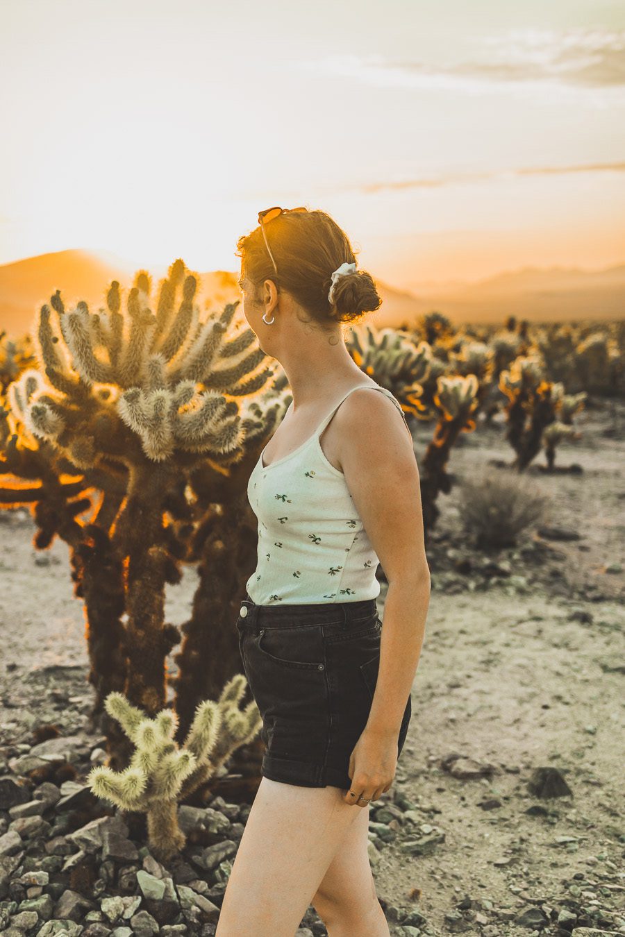 Le parc national de Joshua Tree est un paysage américain emblématique situé dans le désert de Mojave en Californie. Outre son emblématique Joshua Tree, cette oasis du désert offre des vues spectaculaires sur les chaînes de montagnes et les canyons environnants, ainsi qu'une abondance d'animaux sauvages incroyables. Préparez-vous à vivre l'une des expériences désertiques les plus uniques et les plus immersives d'un road trip aux États-Unis - bienvenue à Joshua Tree National Park !