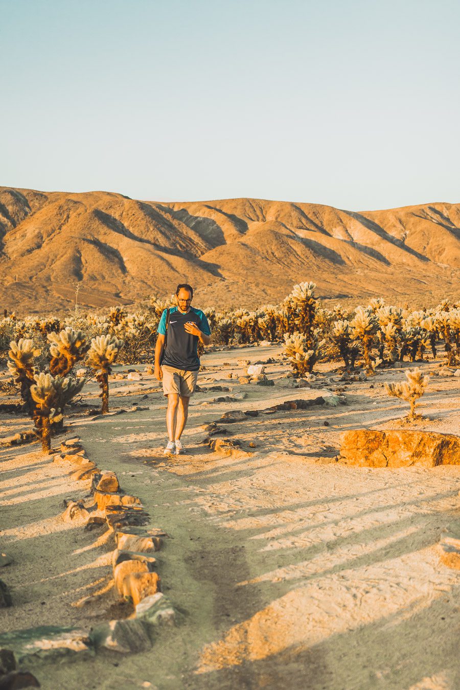 Le parc national de Joshua Tree est un paysage américain emblématique situé dans le désert de Mojave en Californie. Outre son emblématique Joshua Tree, cette oasis du désert offre des vues spectaculaires sur les chaînes de montagnes et les canyons environnants, ainsi qu'une abondance d'animaux sauvages incroyables. Préparez-vous à vivre l'une des expériences désertiques les plus uniques et les plus immersives d'un road trip aux États-Unis - bienvenue à Joshua Tree National Park !