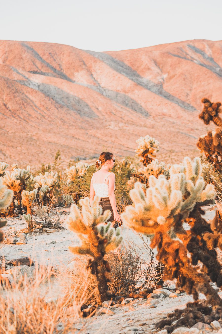 Le parc national de Joshua Tree est un paysage américain emblématique situé dans le désert de Mojave en Californie. Outre son emblématique Joshua Tree, cette oasis du désert offre des vues spectaculaires sur les chaînes de montagnes et les canyons environnants, ainsi qu'une abondance d'animaux sauvages incroyables. Préparez-vous à vivre l'une des expériences désertiques les plus uniques et les plus immersives d'un road trip aux États-Unis - bienvenue à Joshua Tree National Park !