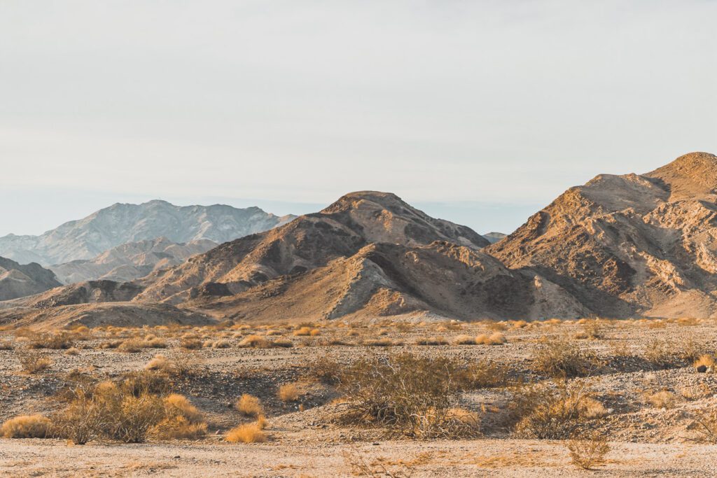 Désert de Mojave