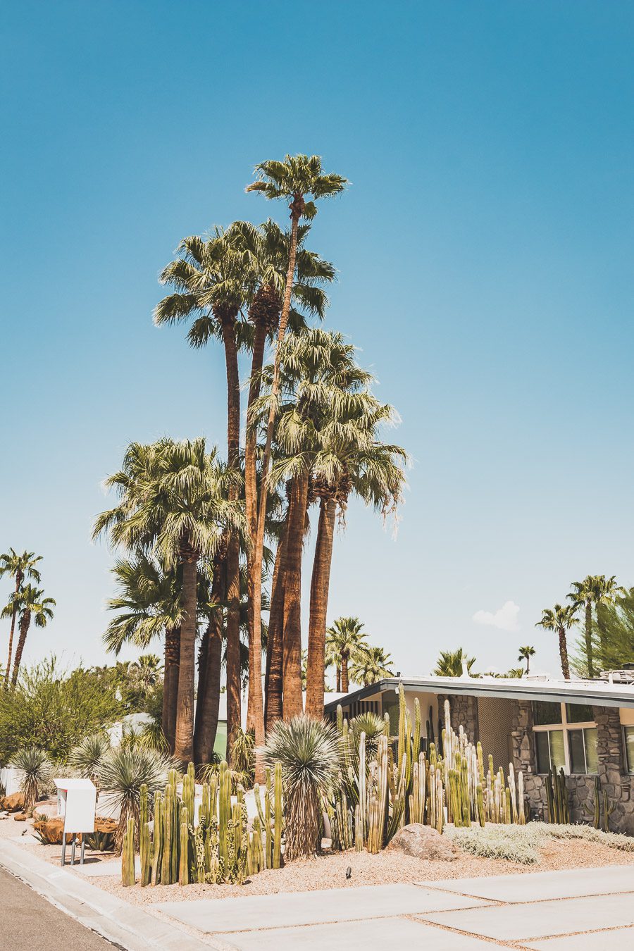 Palm Springs est une oasis ensoleillée dans le désert californien, offrant aux visiteurs une chance de se détendre et de se ressourcer grâce à sa beauté naturelle, ses équipements modernes et son architecture incroyable. Palm Springs a quelque chose pour tout le monde, y compris pour les amoureux de photographie et ceux en quête de dépaysement. Venez vous adonner aux innombrables activités et attractions que la ville a à offrir et découvrez la beauté de cet endroit spécial.