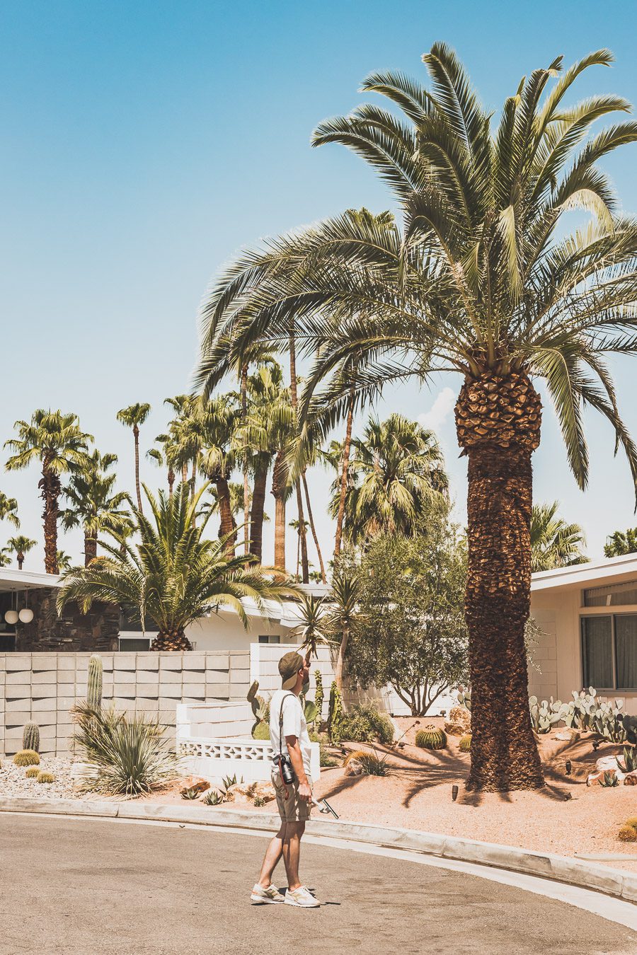 Palm Springs est une oasis ensoleillée dans le désert californien, offrant aux visiteurs une chance de se détendre et de se ressourcer grâce à sa beauté naturelle, ses équipements modernes et son architecture incroyable. Palm Springs a quelque chose pour tout le monde, y compris pour les amoureux de photographie et ceux en quête de dépaysement. Venez vous adonner aux innombrables activités et attractions que la ville a à offrir et découvrez la beauté de cet endroit spécial.