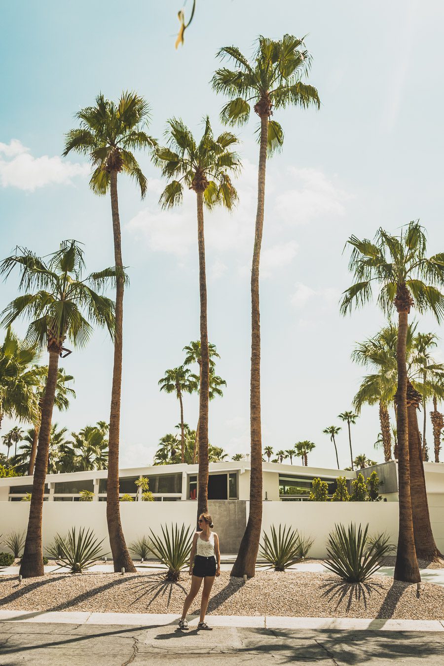 Palm Springs est une oasis ensoleillée dans le désert californien, offrant aux visiteurs une chance de se détendre et de se ressourcer grâce à sa beauté naturelle, ses équipements modernes et son architecture incroyable. Palm Springs a quelque chose pour tout le monde, y compris pour les amoureux de photographie et ceux en quête de dépaysement. Venez vous adonner aux innombrables activités et attractions que la ville a à offrir et découvrez la beauté de cet endroit spécial.