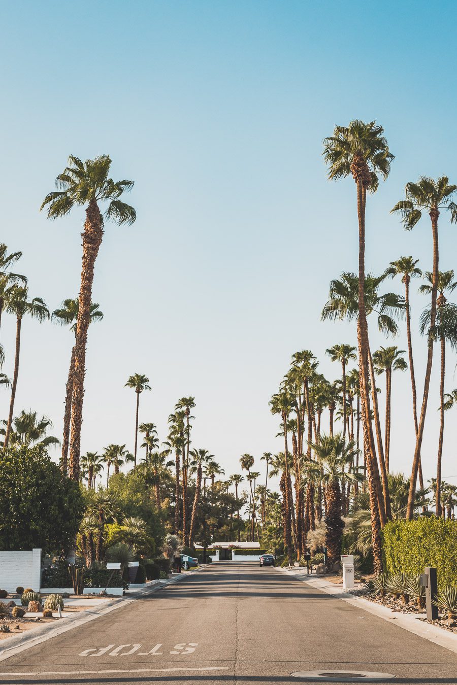 Palm Springs est une oasis ensoleillée dans le désert californien, offrant aux visiteurs une chance de se détendre et de se ressourcer grâce à sa beauté naturelle, ses équipements modernes et son architecture incroyable. Palm Springs a quelque chose pour tout le monde, y compris pour les amoureux de photographie et ceux en quête de dépaysement. Venez vous adonner aux innombrables activités et attractions que la ville a à offrir et découvrez la beauté de cet endroit spécial.
