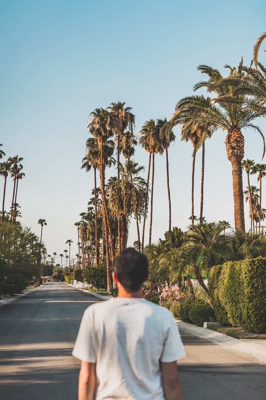 Palm Springs est une oasis ensoleillée dans le désert californien, offrant aux visiteurs une chance de se détendre et de se ressourcer grâce à sa beauté naturelle, ses équipements modernes et son architecture incroyable. Palm Springs a quelque chose pour tout le monde, y compris pour les amoureux de photographie et ceux en quête de dépaysement. Venez vous adonner aux innombrables activités et attractions que la ville a à offrir et découvrez la beauté de cet endroit spécial.