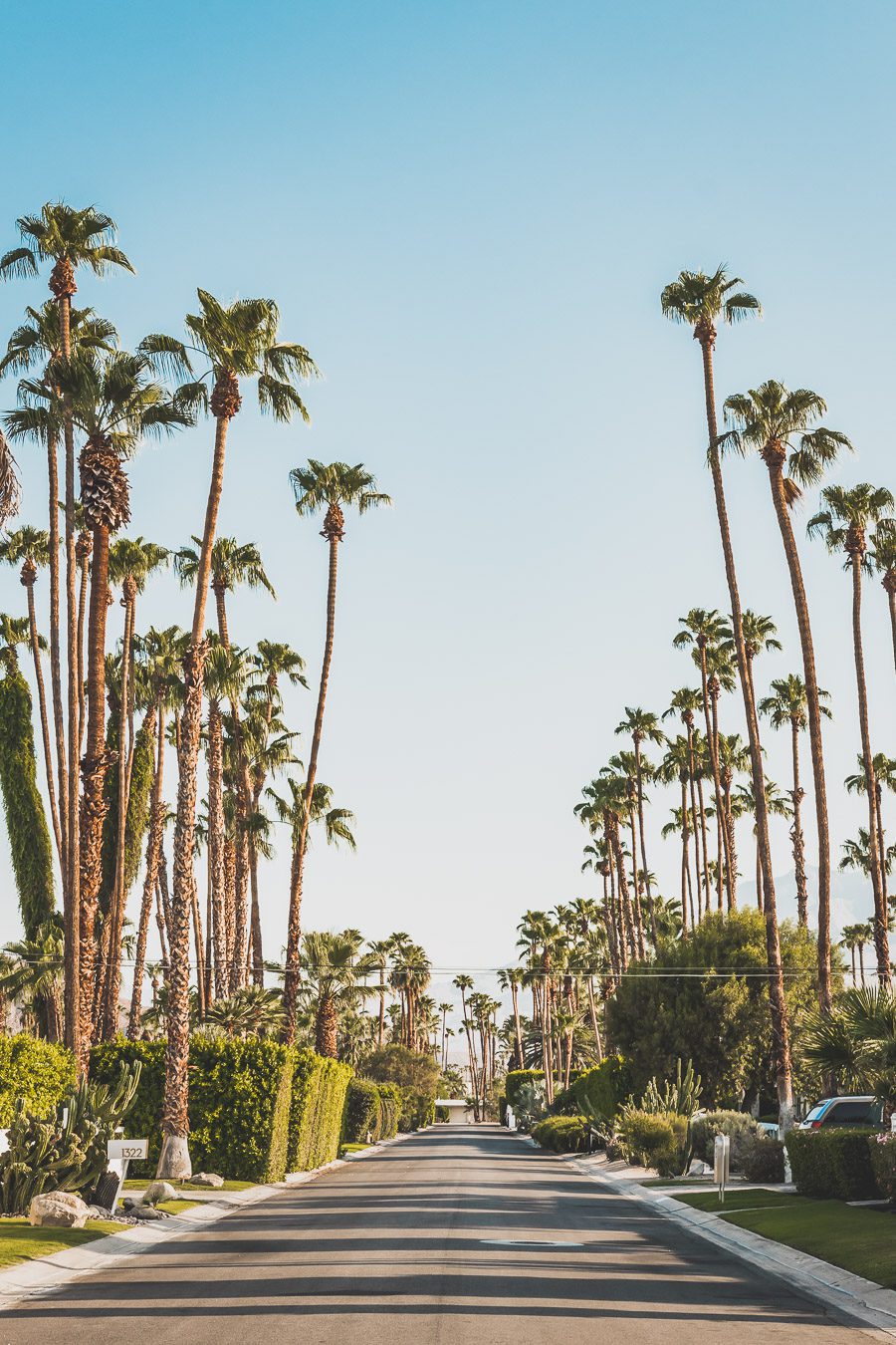 Palm Springs est une oasis ensoleillée dans le désert californien, offrant aux visiteurs une chance de se détendre et de se ressourcer grâce à sa beauté naturelle, ses équipements modernes et son architecture incroyable. Palm Springs a quelque chose pour tout le monde, y compris pour les amoureux de photographie et ceux en quête de dépaysement. Venez vous adonner aux innombrables activités et attractions que la ville a à offrir et découvrez la beauté de cet endroit spécial.