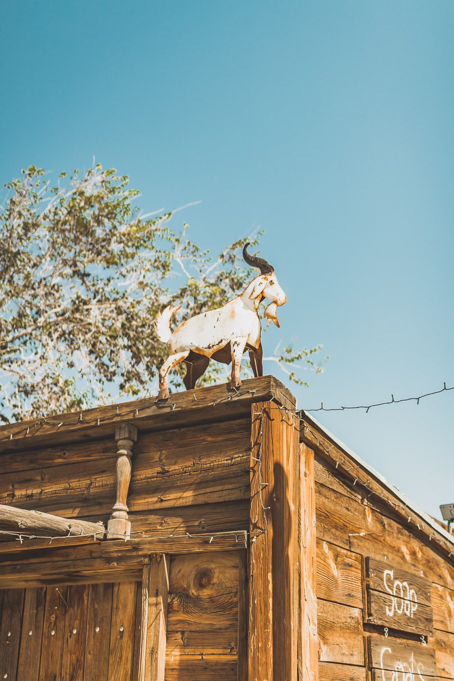 Pioneertown est une ville unique et historique dans le désert californien, située de l'ancienne ville minière de Yucca Valley. Avec ses bâtiments de style occidental, son camping-car restauré et son paysage pittoresque, Pioneertown est un retour dans le temps vers le Far West - un endroit où vous pouvez monter à cheval pour une balade à cheval ou simplement vous détendre et explorer l'atmosphère du Far West. Venez découvrir par vous-même le charme et la nostalgie de ce lieu mythique !