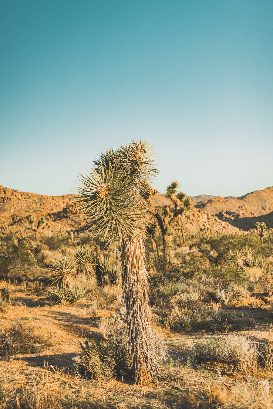 Cap rock trail