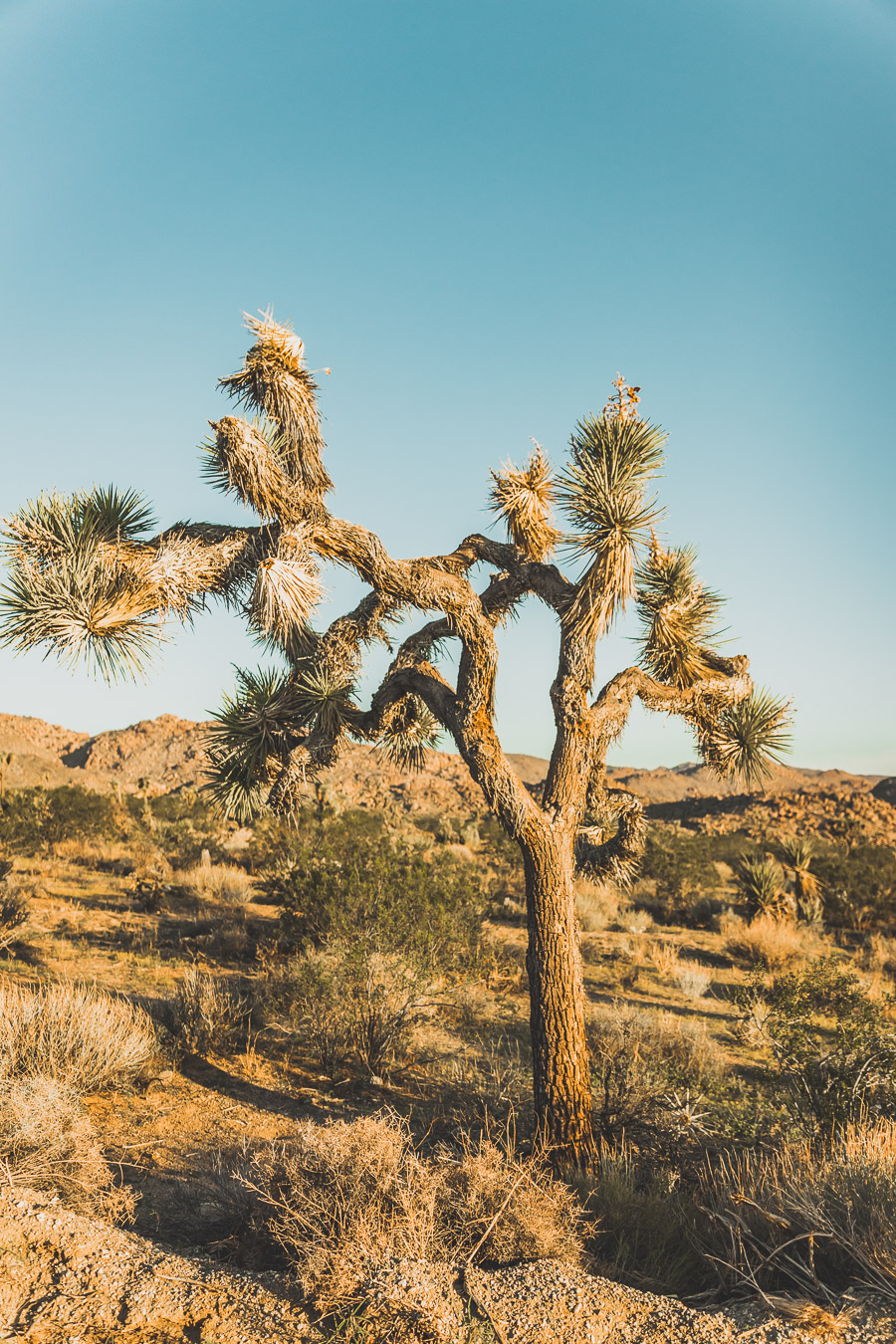 Cap rock trail