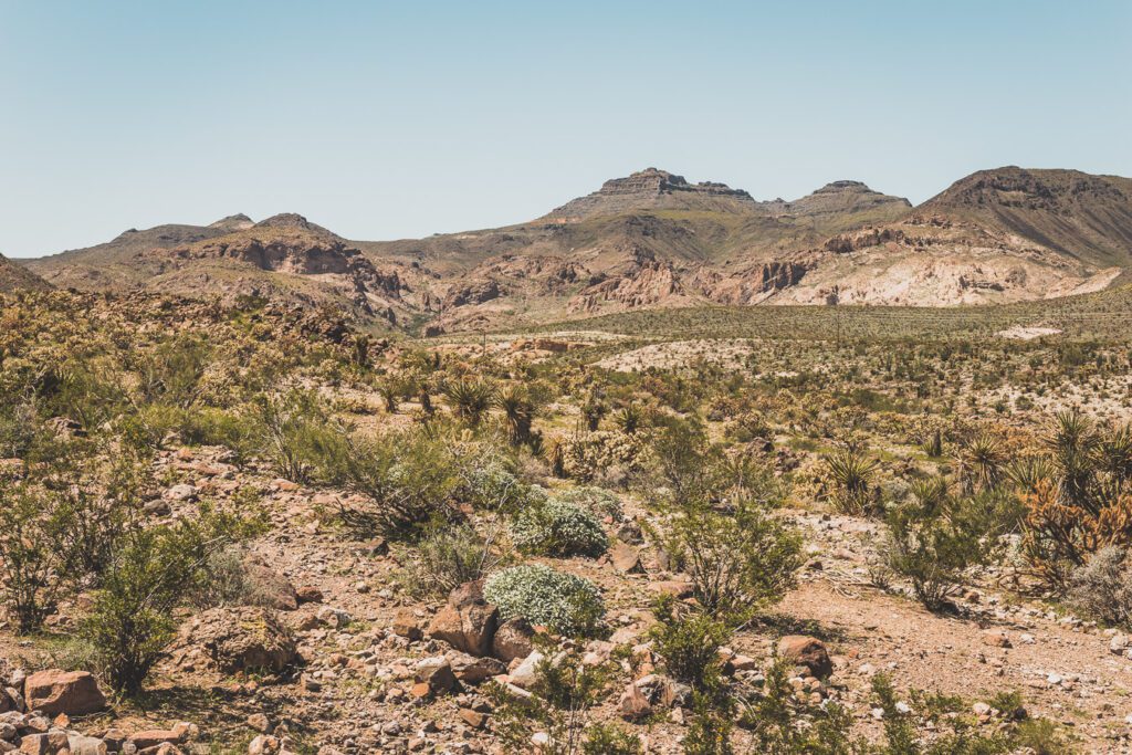 Faites un voyage sur la Route 66 en van - l'une des routes les plus emblématiques de l'histoire américaine ! Du Midwest au Sud-Ouest, la Route 66 est un symbole d'aventure et de liberté depuis des générations, offrant une expérience de voyage unique et inoubliable. Les voyageurs peuvent découvrir sa culture diversifiée et ses joyaux cachés. Que vous recherchiez un long voyage en voiture ou en van ou une escapade rapide, la Route 66 est une idée originale pour un voyage en été.