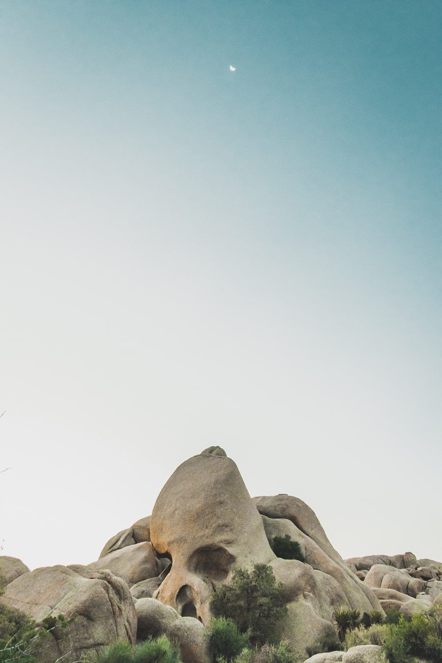 Le parc national de Joshua Tree est un paysage américain emblématique situé dans le désert de Mojave en Californie. Outre son emblématique Joshua Tree, cette oasis du désert offre des vues spectaculaires sur les chaînes de montagnes et les canyons environnants, ainsi qu'une abondance d'animaux sauvages incroyables. Préparez-vous à vivre l'une des expériences désertiques les plus uniques et les plus immersives d'un road trip aux États-Unis - bienvenue à Joshua Tree National Park !