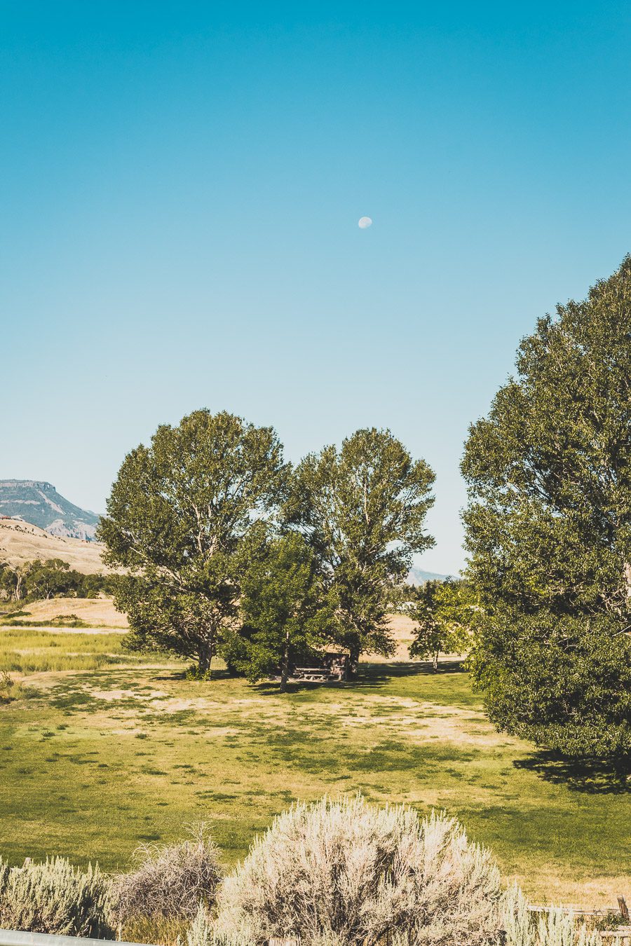 Embarquez pour un voyage de découverte et d'aventure alors que vous embarquez pour un road trip dans l'ouest américain de 2 semaines ! Explorez certains des paysages les plus époustouflants de l'Ouest américain. Vous visiterez des villes dynamiques, vous immergerez dans la culture unique de la région. Avec de nombreuses activités, attractions et merveilles naturelles à explorer comme Yellowstone, Las Vegas ou encore la route 66, ce sera à coup sûr un road trip inoubliable !