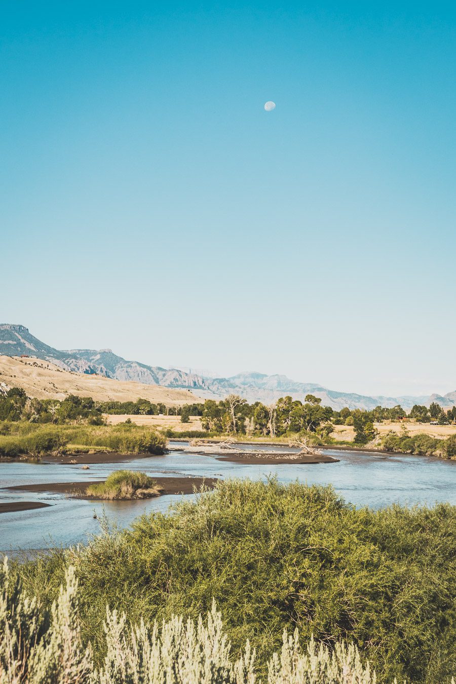 Pensez à la location d'un van aux USA. Vous pourrez ainsi explorer les États-Unis dans votre maison loin de chez vous, lors d'un road trip dans l'ouest américain. Vous découvrirez ainsi Yellowstone, Grand Teton, Las Vegas, Palm Springs et bien d'autres endroits uniques... Que vous recherchiez une escapade romantique ou une aventure passionnante en famille, la location de van aux États-Unis peut vous aider à faire de votre voyage un moment inoubliable. Voyage en van / Road trip ouest américain 