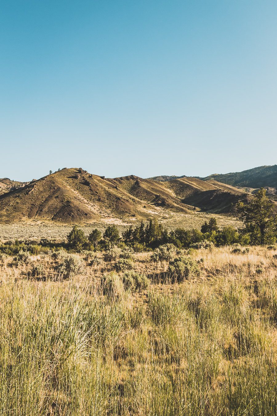 Embarquez pour un voyage de découverte et d'aventure alors que vous embarquez pour un road trip dans l'ouest américain de 2 semaines ! Explorez certains des paysages les plus époustouflants de l'Ouest américain. Vous visiterez des villes dynamiques, vous immergerez dans la culture unique de la région. Avec de nombreuses activités, attractions et merveilles naturelles à explorer comme Yellowstone, Las Vegas ou encore la route 66, ce sera à coup sûr un road trip inoubliable !