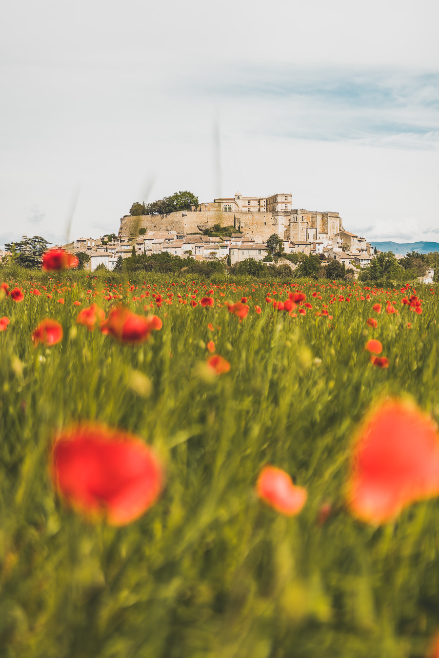 Face à la beauté spectaculaire de la campagne, la Drôme Provençale est une région dynamique du sud de la France. Des marchés animés de Nyons aux villages de montagne de Crest, Buis les Baronnies et Grignan, en passant par les élégants villages de Valréas, Suze la Rousse et Saint-Paul-Trois-Chateaux, la région regorge de trésors culturels, de charmants hameaux et vignobles luxuriants. Partez à la découverte des plus beaux endroits de la Drôme provençale lors d'un road trip en van.