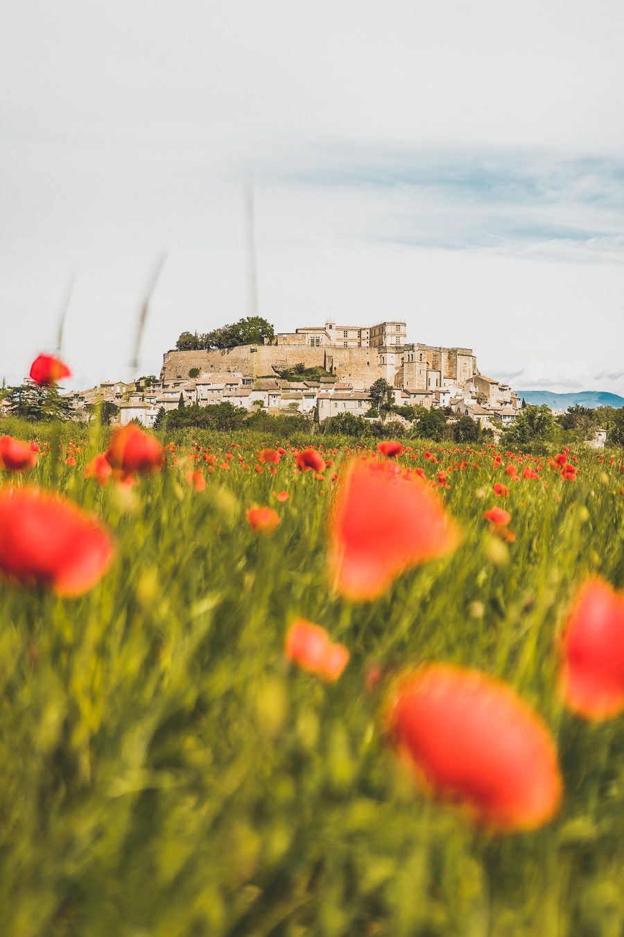 Face à la beauté spectaculaire de la campagne, la Drôme Provençale est une région dynamique du sud de la France. Des marchés animés de Nyons aux villages de montagne de Crest, Buis les Baronnies et Grignan, en passant par les élégants villages de Valréas, Suze la Rousse et Saint-Paul-Trois-Chateaux, la région regorge de trésors culturels, de charmants hameaux et vignobles luxuriants. Partez à la découverte des plus beaux endroits de la Drôme provençale lors d'un road trip en van.