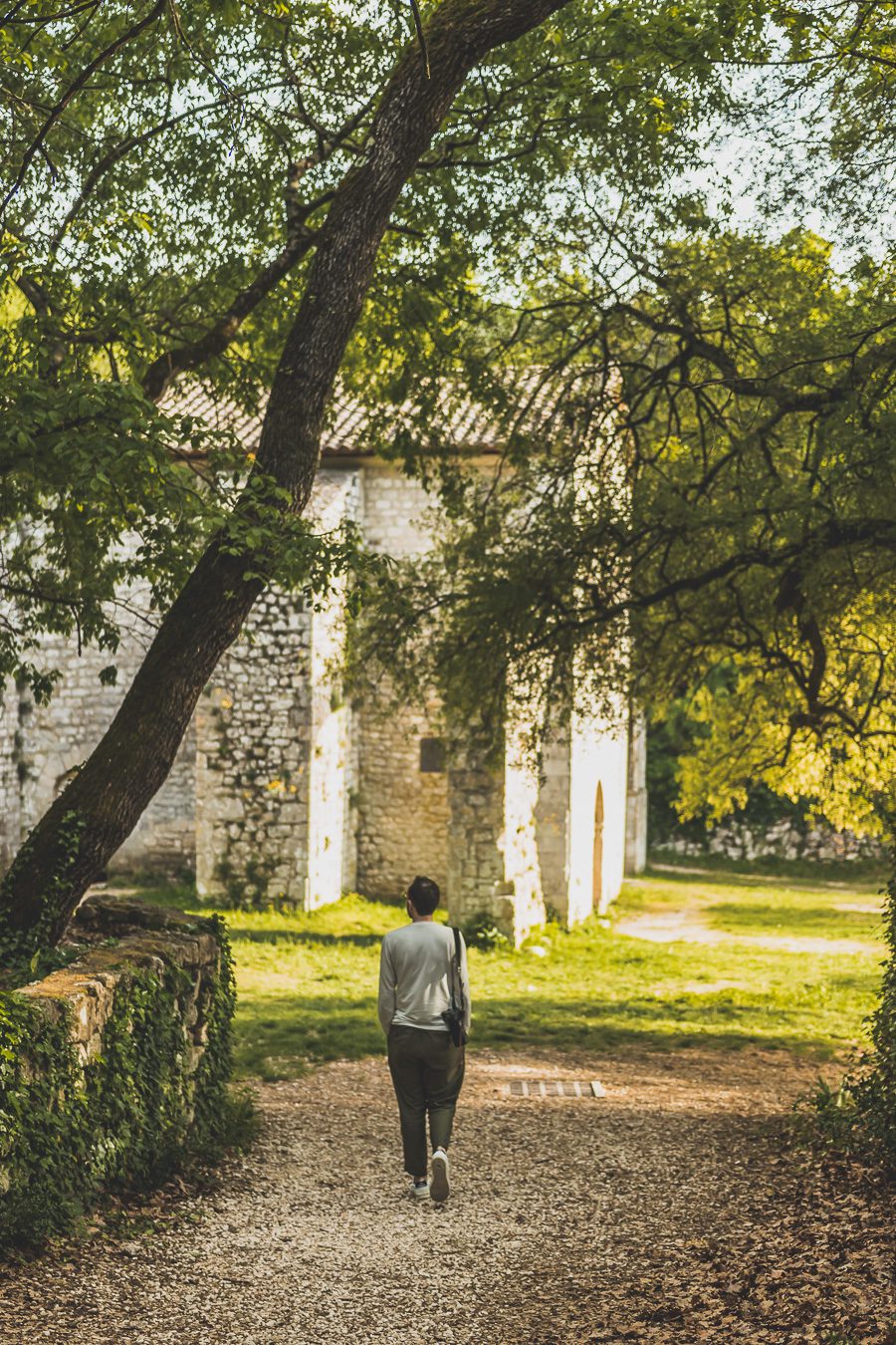 Face à la beauté spectaculaire de la campagne, la Drôme Provençale est une région dynamique du sud de la France. Des marchés animés de Nyons aux villages de montagne de Crest, Buis les Baronnies et Grignan, en passant par les élégants villages de Valréas, Suze la Rousse et Saint-Paul-Trois-Chateaux, la région regorge de trésors culturels, de charmants hameaux et vignobles luxuriants. Partez à la découverte des plus beaux endroits de la Drôme provençale lors d'un road trip en van.