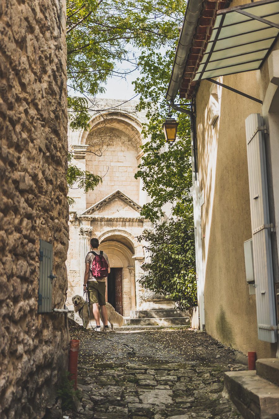 Face à la beauté spectaculaire de la campagne, la Drôme Provençale est une région dynamique du sud de la France. Des marchés animés de Nyons aux villages de montagne de Crest, Buis les Baronnies et Grignan, en passant par les élégants villages de Valréas, Suze la Rousse et Saint-Paul-Trois-Chateaux, la région regorge de trésors culturels, de charmants hameaux et vignobles luxuriants. Partez à la découverte des plus beaux endroits de la Drôme provençale lors d'un road trip en van.