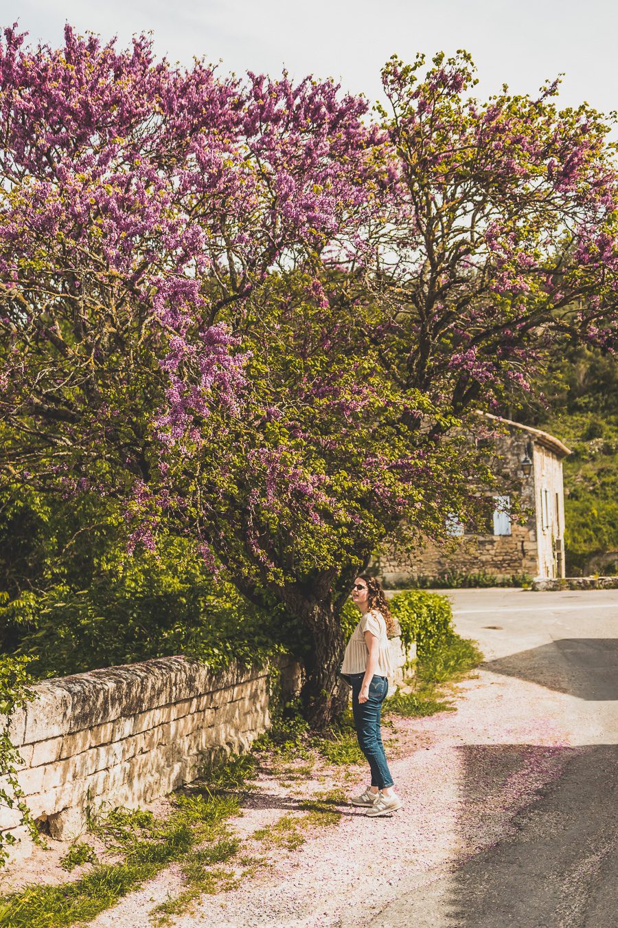 Face à la beauté spectaculaire de la campagne, la Drôme Provençale est une région dynamique du sud de la France. Des marchés animés de Nyons aux villages de montagne de Crest, Buis les Baronnies et Grignan, en passant par les élégants villages de Valréas, Suze la Rousse et Saint-Paul-Trois-Chateaux, la région regorge de trésors culturels, de charmants hameaux et vignobles luxuriants. Partez à la découverte des plus beaux endroits de la Drôme provençale lors d'un road trip en van.