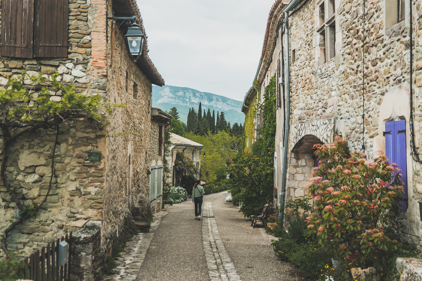 Face à la beauté spectaculaire de la campagne, la Drôme Provençale est une région dynamique du sud de la France. Des marchés animés de Nyons aux villages de montagne de Crest, Buis les Baronnies et Grignan, en passant par les élégants villages de Valréas, Suze la Rousse et Saint-Paul-Trois-Chateaux, la région regorge de trésors culturels, de charmants hameaux et vignobles luxuriants. Partez à la découverte des plus beaux endroits de la Drôme provençale lors d'un road trip en van.