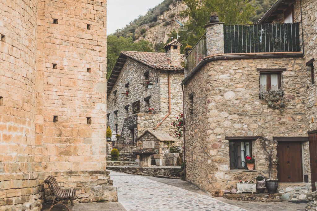 Beget