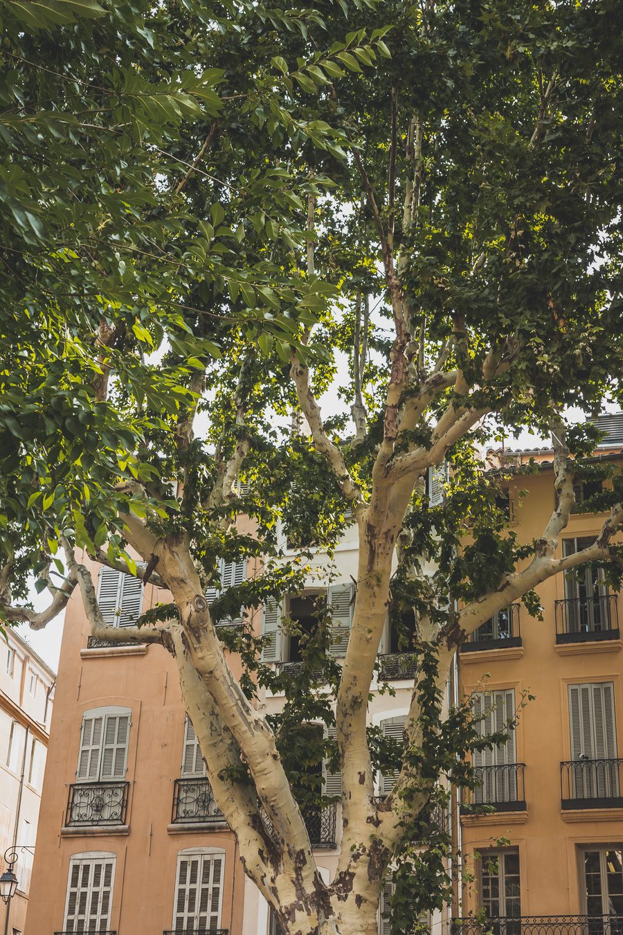 Découvrez Aix-en-Provence à pied! Flânez dans l'élégance provençale, où chaque rue respire l'histoire et l'art de vivre. 🌿✨ Couples, familles: laissez-vous captiver par le charme d'Aix, ville d'eau, ville d'art. En solo ou accompagné, déambulez entre fontaines et marchés colorés. Avec ces vacances en France, savourez l'essence même de la Provence. Prêt pour une escapade inoubliable? Cliquez ici pour les secrets d'Aix-en-Provence et créez votre itinéraire parfait pour un voyage en France !