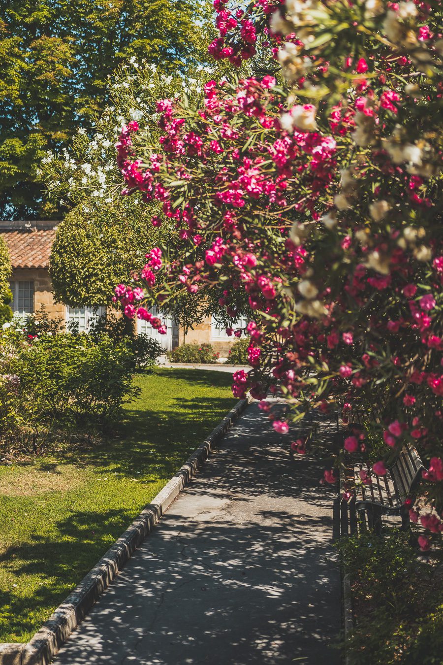 Découvrez Aix-en-Provence à pied! Flânez dans l'élégance provençale, où chaque rue respire l'histoire et l'art de vivre. 🌿✨ Couples, familles: laissez-vous captiver par le charme d'Aix, ville d'eau, ville d'art. En solo ou accompagné, déambulez entre fontaines et marchés colorés. Avec ces vacances en France, savourez l'essence même de la Provence. Prêt pour une escapade inoubliable? Cliquez ici pour les secrets d'Aix-en-Provence et créez votre itinéraire parfait pour un voyage en France !