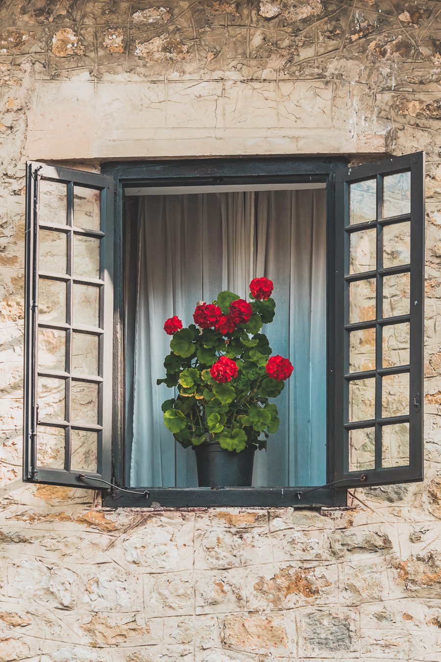 fenêtre avec fleurs