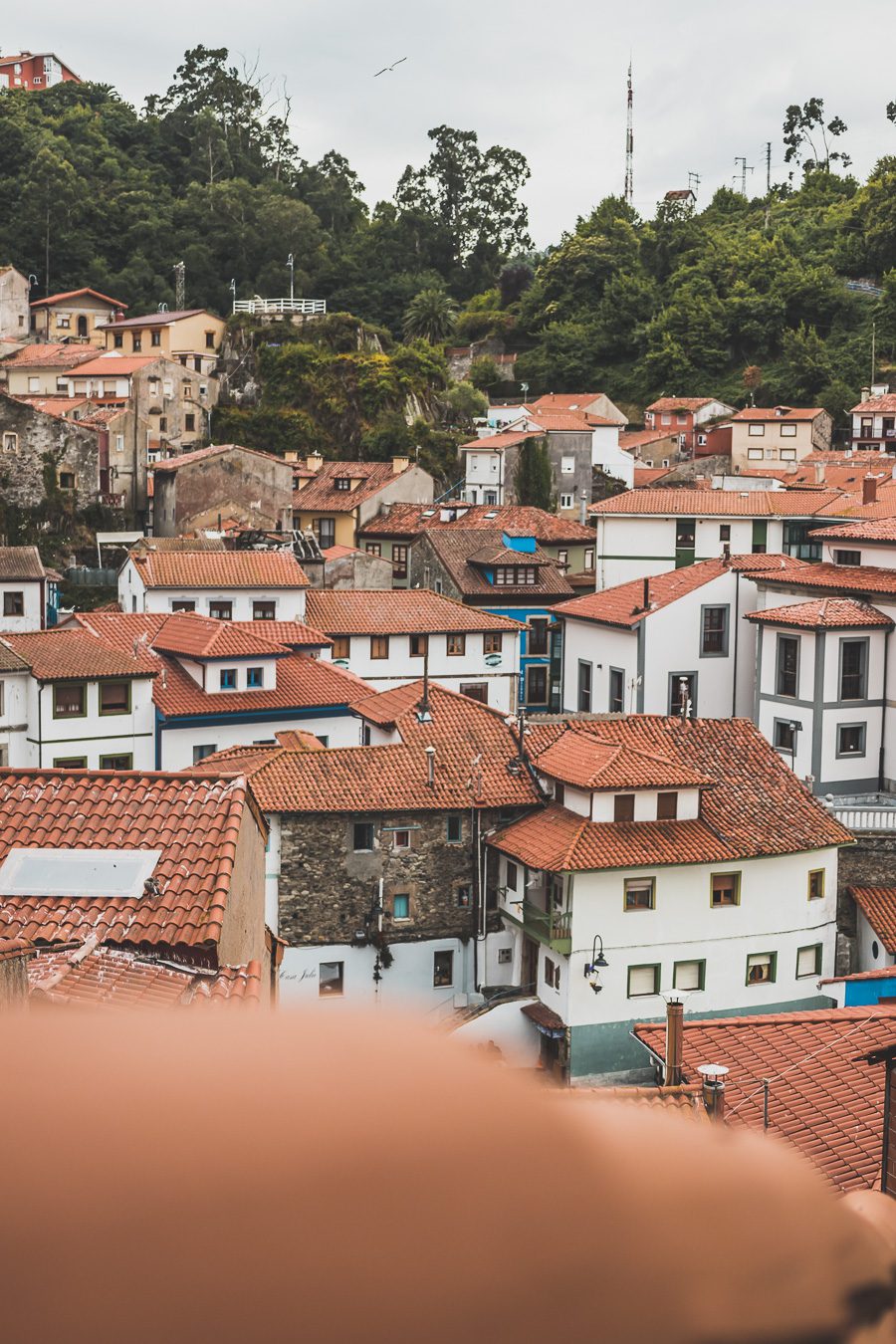 Partez à l'aventure dans le nord de l'Espagne en van et découvrez les trésors des Asturies et de la Cantabrie. Entre paysages spectaculaires et villages pittoresques, chaque kilomètre parcouru promet une découverte. Vivez l'expérience d'un road trip authentique, où l'histoire et la nature se rejoignent pour offrir des souvenirs inoubliables. Que vous voyagiez en couple, en famille ou entre amis, cette escapade vous promet des moments d'émerveillement. Partez maintenant en Espagne en van. 